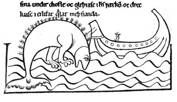 MonsterBestiary's tweet image. The lyngbakr is described in a 13th century Icelandic saga as being the biggest whale in the ocean, with a back covered in heather that can be mistaken for an island. When a crew landed on the island the lyngbaker would dive, drowning the unwary sailors.