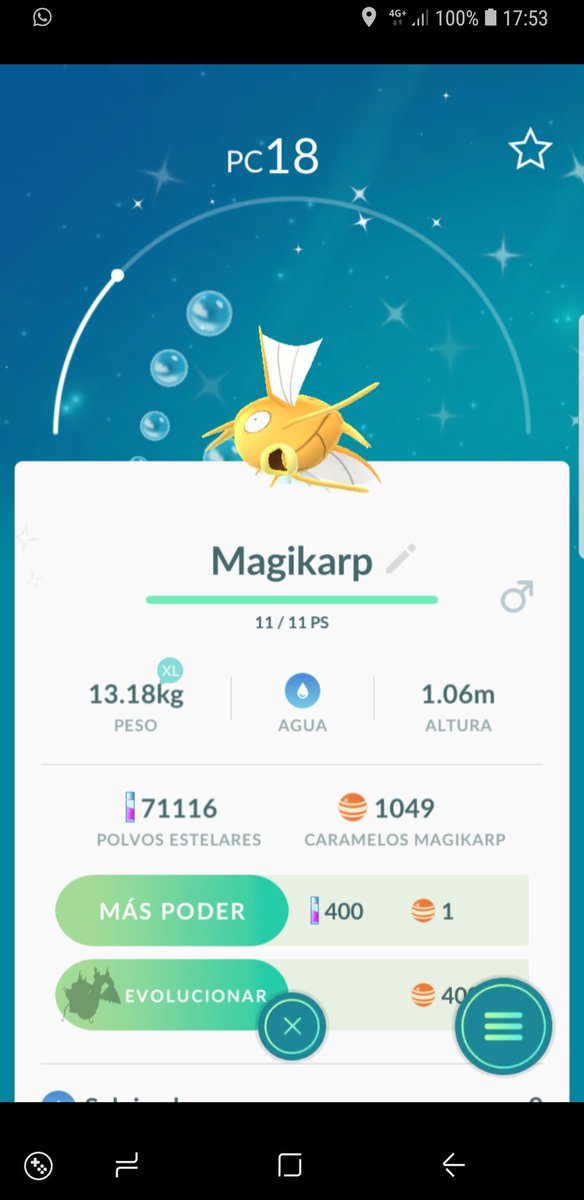 AlfafarPokemon's tweet photo. Y x fin te he encontrado, desde que empecé a jugar 🤩🤩 @RomelPay @86Jambito16 @PokemongoGSTZ @burns755 @VentusNimbosus https://t.co/FRaAToDuF7