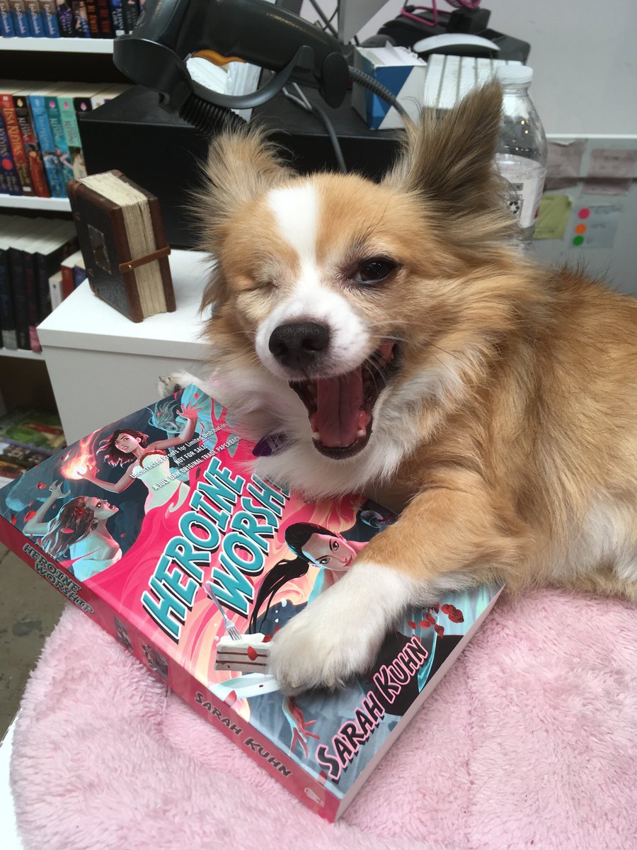 sarahkuhn's tweet image. HEROINE'S JOURNEY is out in 3 weeks! If you want a copy signed by me AND famous pup cover model Fitzwilliam Waffles, pre-order from @TheRippedBodice! This works if you're far away or if you're coming to the 7/14 event! Only way to get Fitz's autograph! therippedbodicela.com/product/heroin…