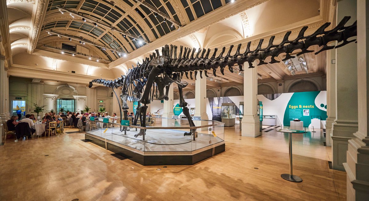 BM_AG's tweet photo. Someone is watching you! Dippy was keeping a friendly eye on the diners at the first #DinewithDippy @BM_AG. Not everyday you get to hobnob with a world famous dinosaur! https://t.co/XBSXtEQz2W #DippyonTour https://t.co/4st31NcxVf