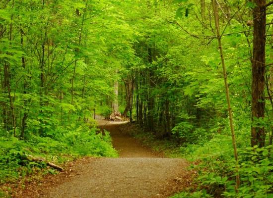 Naturally_L_A's tweet photo. From trails and wetlands to craft beer and sweet treats, enjoy a virtual day trip through Lennox &amp; Addington County https://t.co/QK7tsctvXk #unspoiledLA https://t.co/0Zht6gOEQa