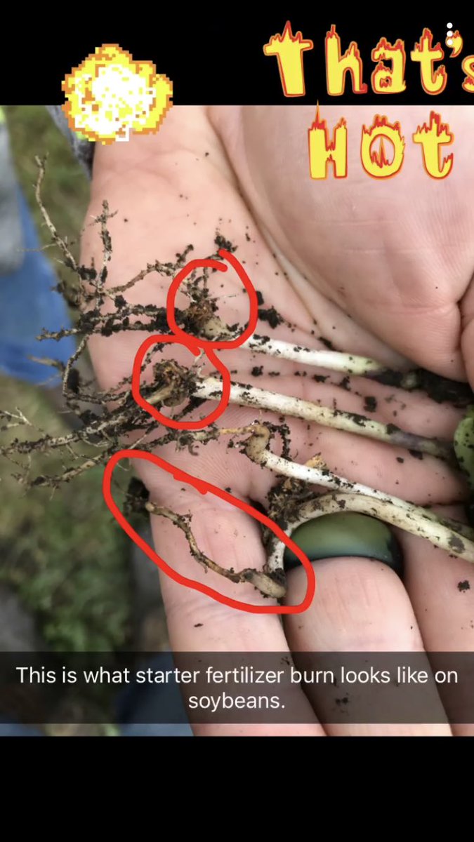 MarkGladyator's tweet photo. Britton, SD #AnswerPlot. Applied high rates of starter to show what can go wrong in dry soils. @RocknRollAgrnmy @Agronomy_Jacks @okkefromuskogee https://t.co/gKDzj9xqvp