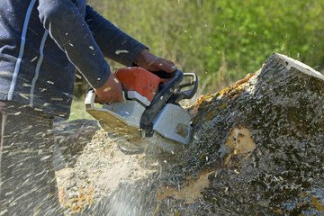 jptreecareaz's tweet image. The Large Tree Removal Services that JP Tree Care provides to Residential or Commercial Properties in Phoenix, AZ!

Give us a call to make an appointment today!

goo.gl/Yf4ksR

#JPTreeCare
#LargeTreeRemoval
#Service
#Phoenix