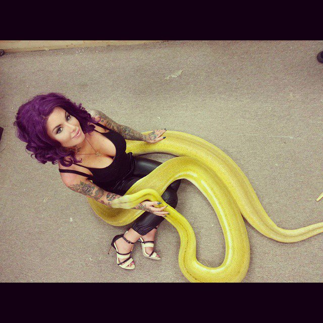 #TuesdayThoughts Cute Snakes?? 🐍➰➰ 🐍