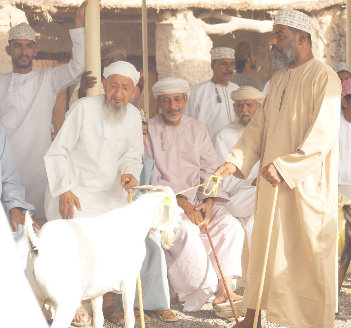 بعض الصور من هبطة المضيبي بسوق المسيلة اليوم