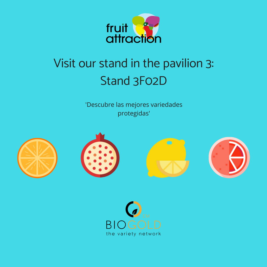 BIOGOLDEM's tweet photo. Conoce nuestras variedades protegidas de cítricos, sub tropicales y de granado.

Podeis visitarnos en el stand 3F02D

#FruitAttraction #FruitAttraction2018 #FA18 #Fruta #VariedadesProtegidas https://t.co/GM23KzUbll