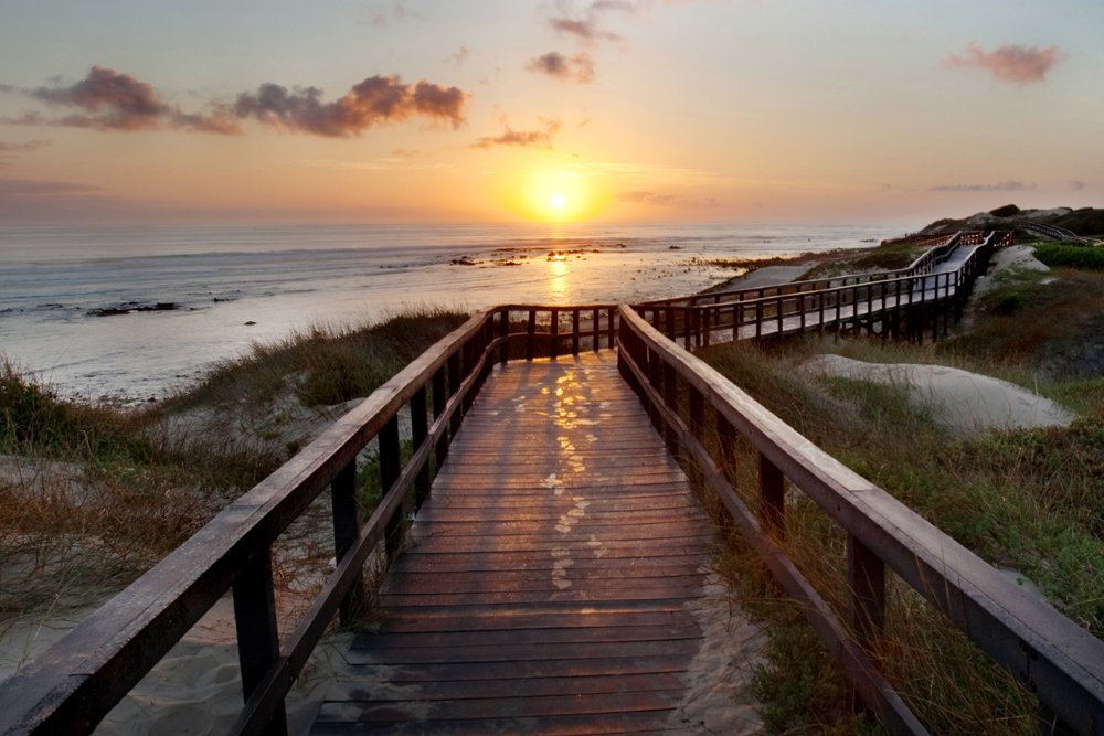 10 Amusingly Irresistible Things To Do In Port Elizabeth!