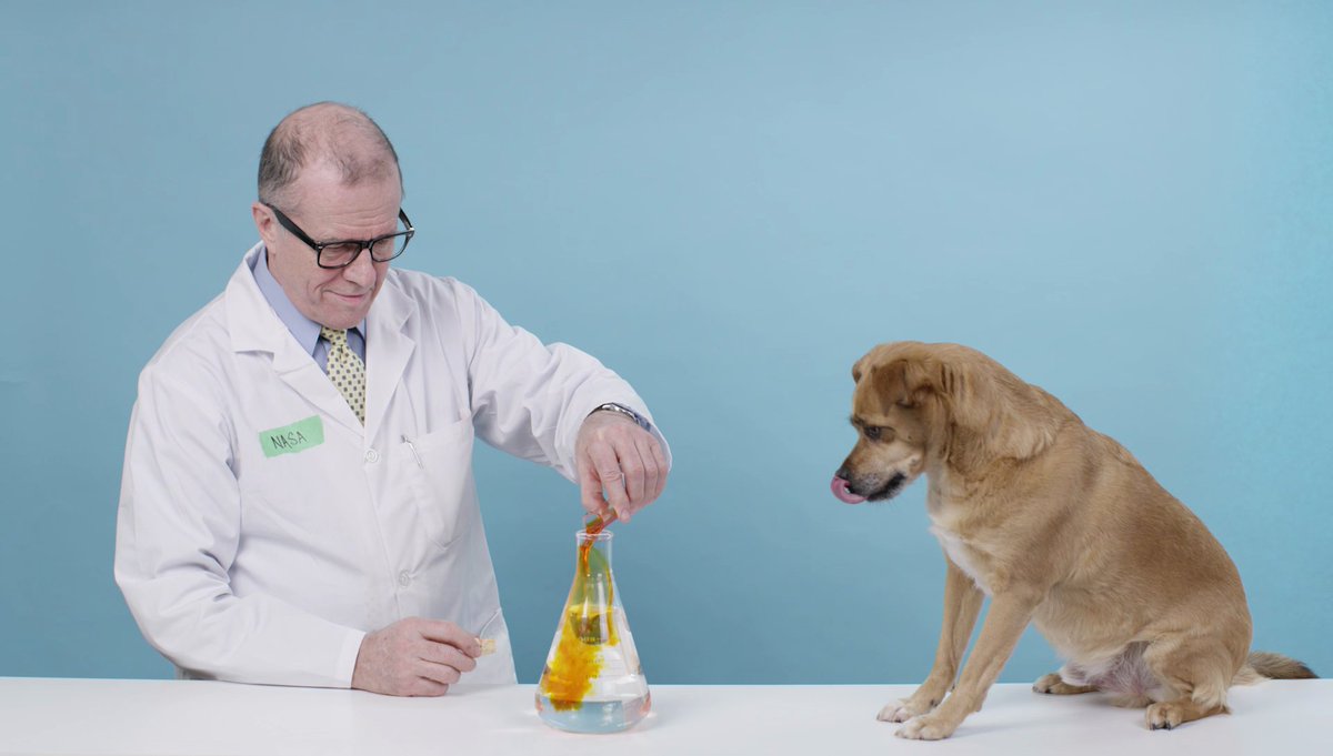 Scientist Reveals Truth About Affordable Video. Local Businesses >  astro.dog/videoscience #videoscience18 #wrawesome