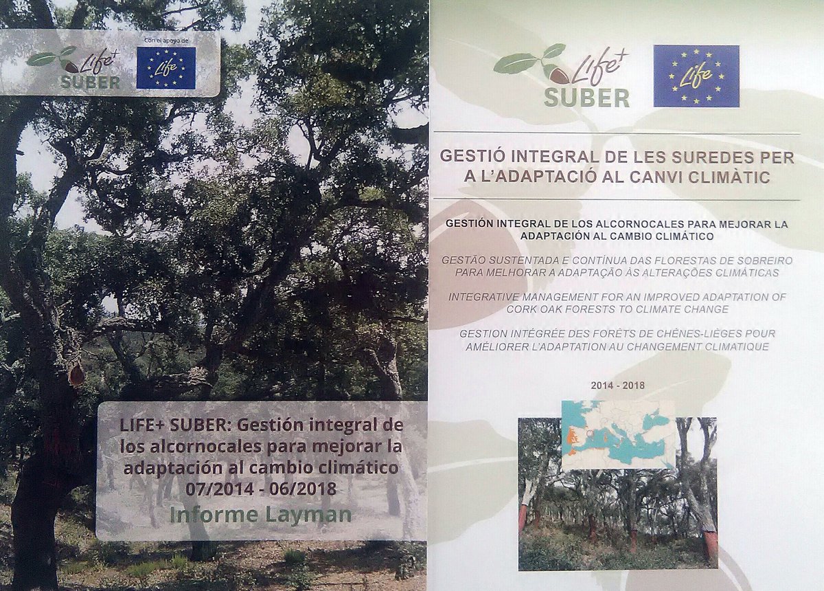 GestorsGavarres's tweet photo. Avui hem assistit a la jornada final del #LifeSuber per escoltar les propostes de #GestióForestal per adaptar les suredes al #canviclimàtic. @agriculturacat @ctforestal @cpforestal @CREAF_ecologia @cfcatalunya @bomberscat @ICSuro @AECORK @amorimcorkv @UNAC_PT https://t.co/soYJlOUVtc