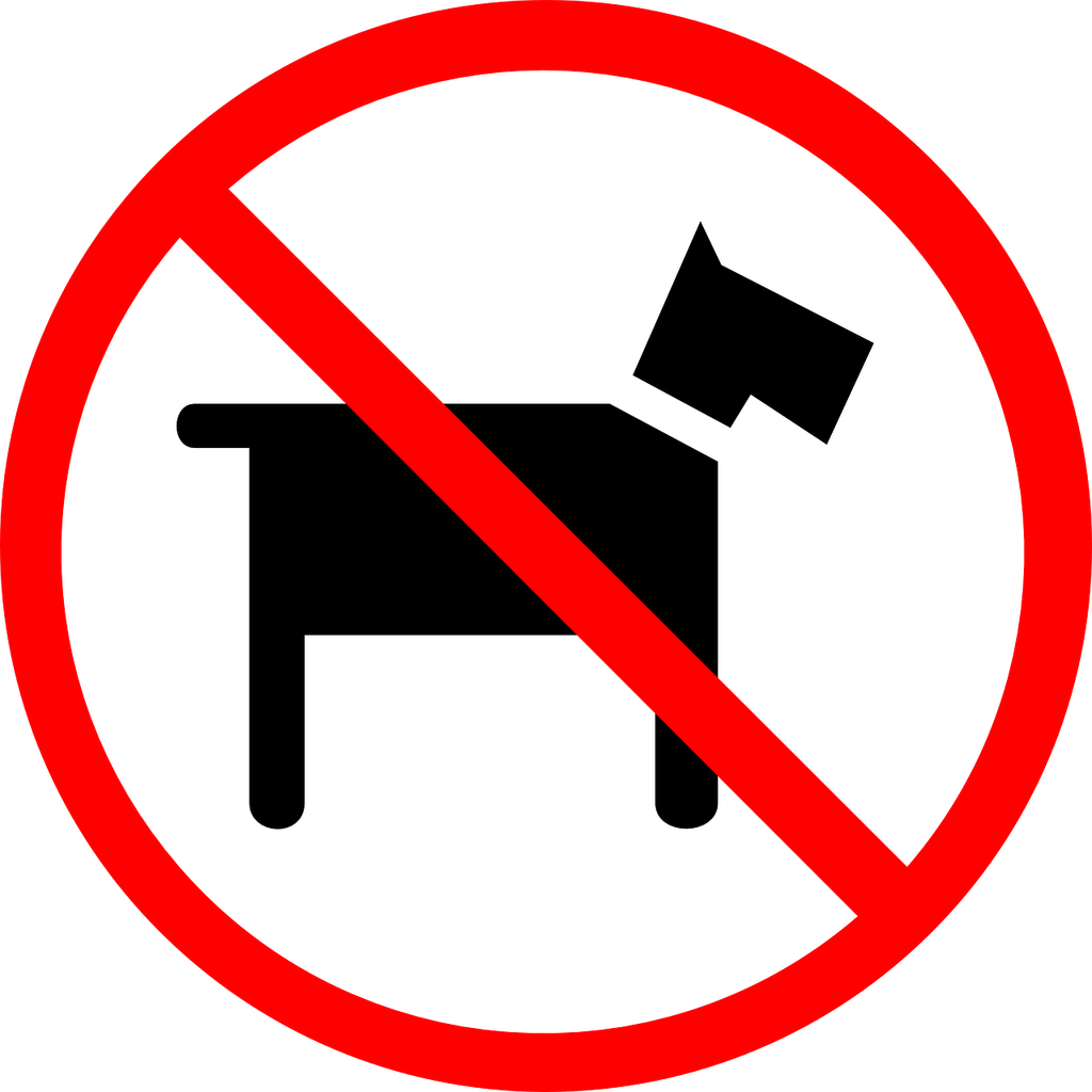 Living in rented accommodation with a pet may be out of the question. timeforpaws.co.uk/blog/pets-and-…