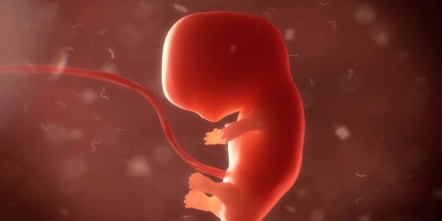 gzapo's tweet photo. No ver un ser humano en el seno materno es ir fuera de la realidad, y donde todo es subjetivo, nada es. Por lo tanto, frena, mira, vos que ves? #SalvemosLas2Vidas #NadieMenos #Aborto  @SSFranciscoI #SiALasDosVidas https://t.co/IBH92uwFLO