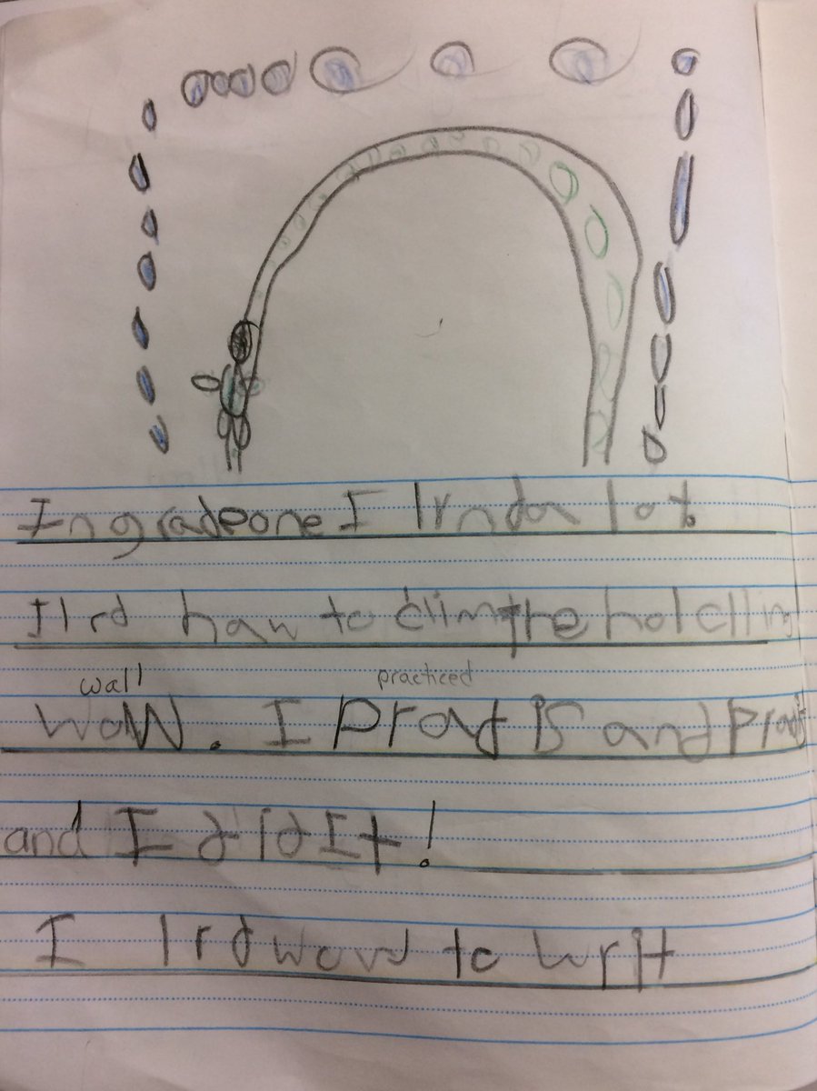 MPSgr1Harrison's tweet photo. Today in writing we reflected on what we had learned in grade one and two.  Look what our grade one students wrote! https://t.co/zXWYSn7u3a