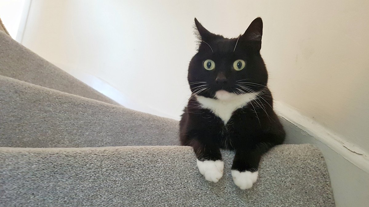 Suddenly it struck me.
This was the wrong staircase.