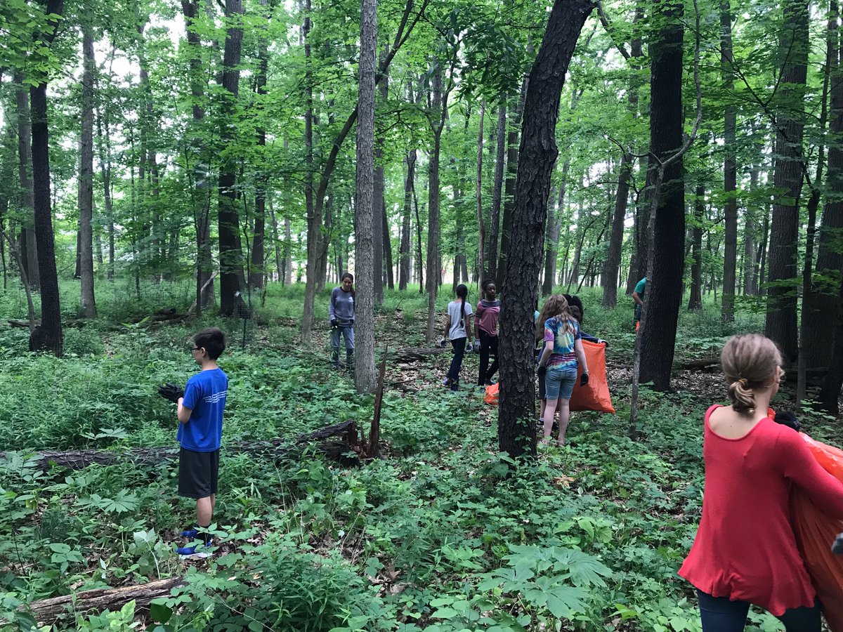 JBellSTEAM's tweet photo. Pulling invasive species plants @a2schools https://t.co/7oVQA8v2sV