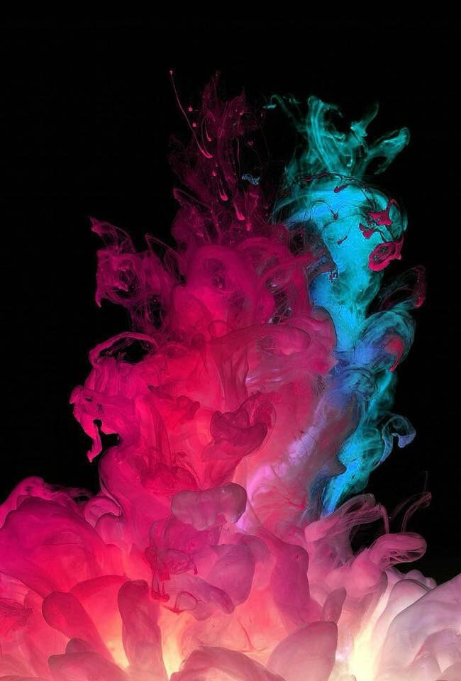 bcake6's tweet image. Ifb