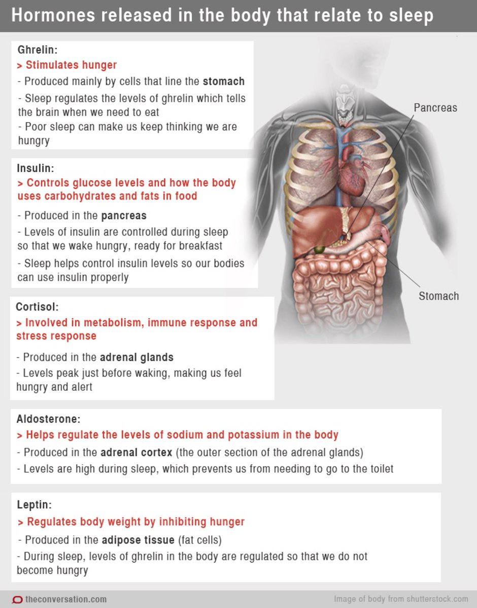 TripleE_KSA's tweet photo. 🛑 Hormones released in the body that relate to sleep 🛑
#Endocrinology #Sleepmedicine #SMLE #medicine #pharmacy #intern #Nursing #basic #Triple_E https://t.co/EKWudHro18
