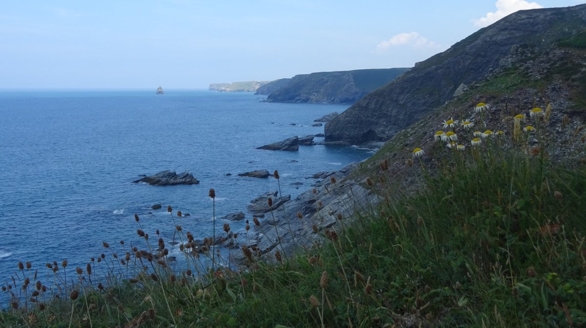BevHunt72's tweet photo. After nearly 7 hours of walking, we reached the #Walk4 of 50 for @HumanimalTrust goal...#PortIsaac from #Tintagel...18 km, 25,800 steps...what started hot and sunny turned into a wet and soggy (last 3 miles 😃😃) stroll...pls support me on my journey...
https://t.co/fbROrrgVql https://t.co/Tm5LO5eDCi