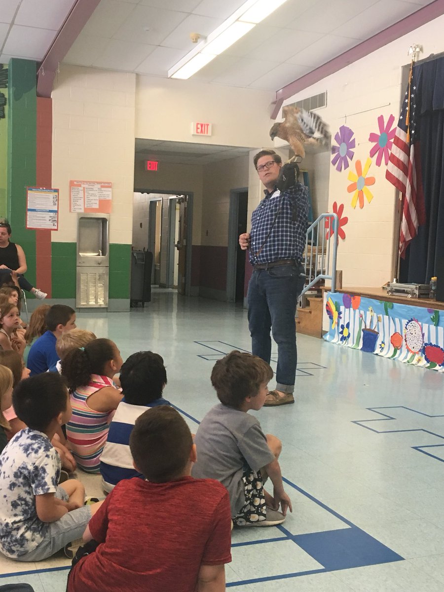 Birds of Prey Assembly