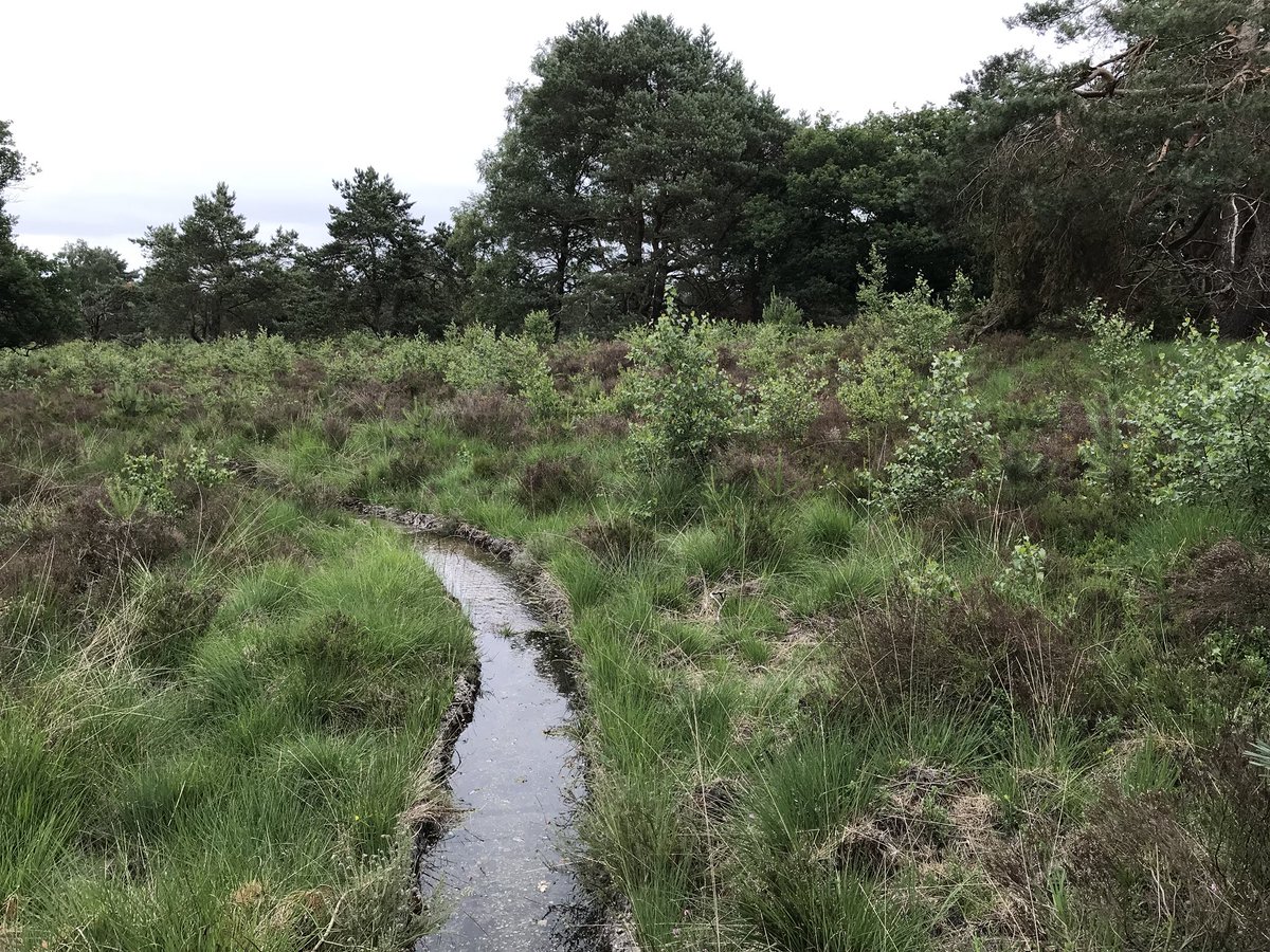 noorderheide's tweet photo. Vandaag water laten stromen van de nieuwe bron naar de ‘Villa Noorderheide’ en richting Tonnetjesdelle. We kregen bezoek van een onze financiers, ze waren onder de indruk van onze prestaties en hoe het project van DG v. Beuningen er bij lag. We kijken terug op een geslaagde dag. https://t.co/nXMLvBtOOP