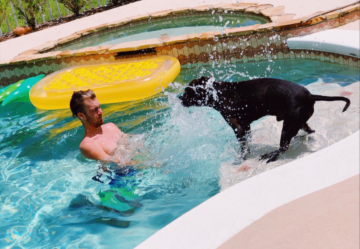 hanginmoss's tweet photo. Mans best friend https://t.co/xp9NDpTK0f