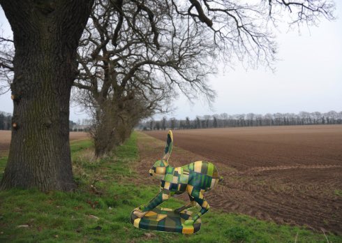GoGoHareForrest's tweet image. Is this another sighting of @GoGoHareForrest? A @GoGoHares2018 has been seen running across the fields here in Thetford! Could this be @ThetfordAcaduk missing leveret? Contact us if anyone spots him again please!