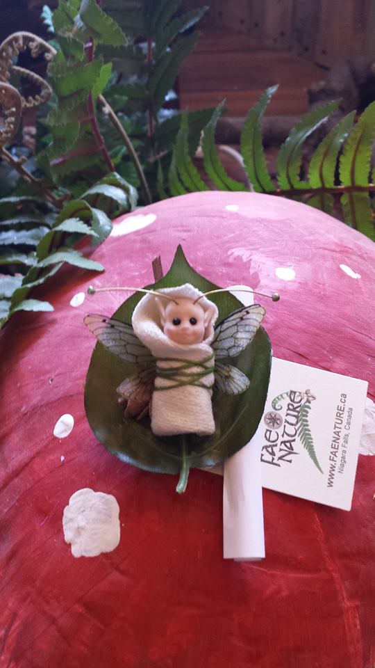 Fae Nature tweet media