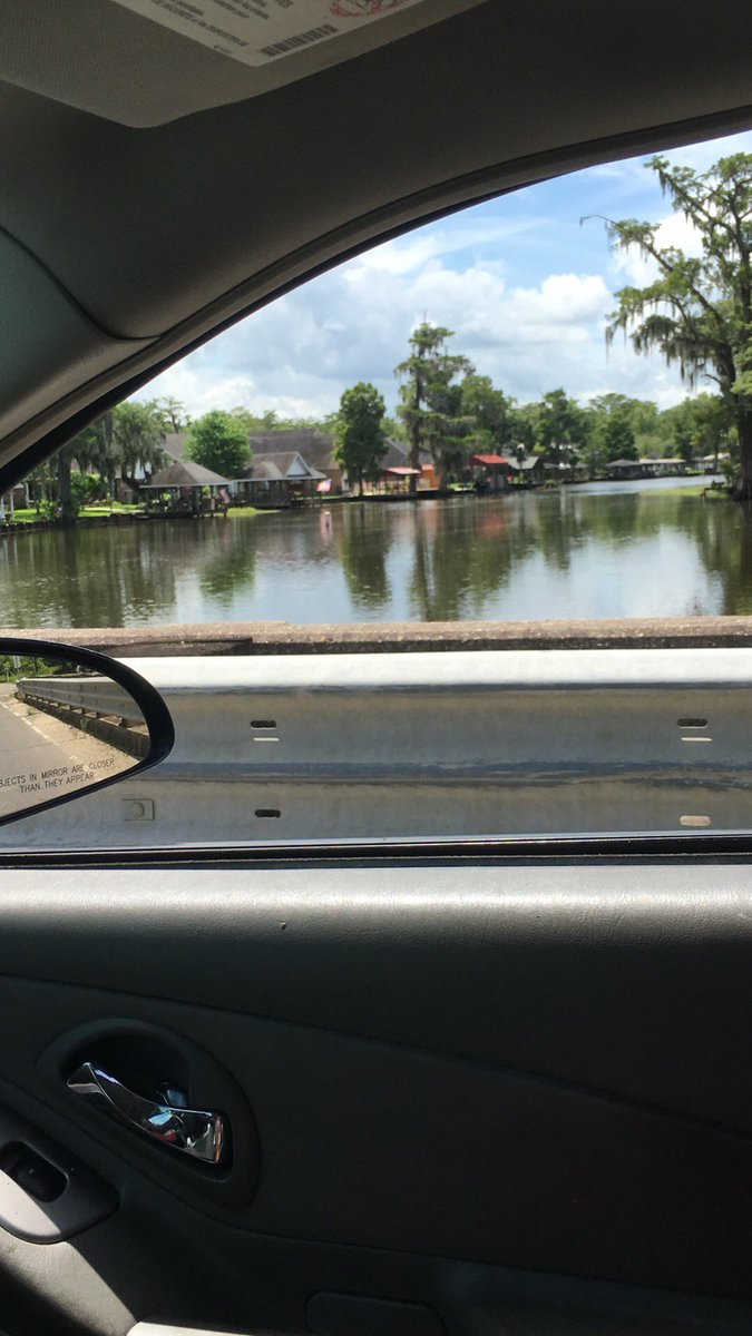 lipstickchic09's tweet photo. Swamp Life 🐊 https://t.co/z2TjfzuDx9
