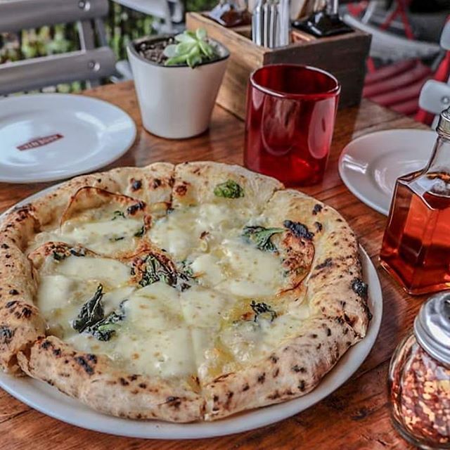 Glotón en México tweet media