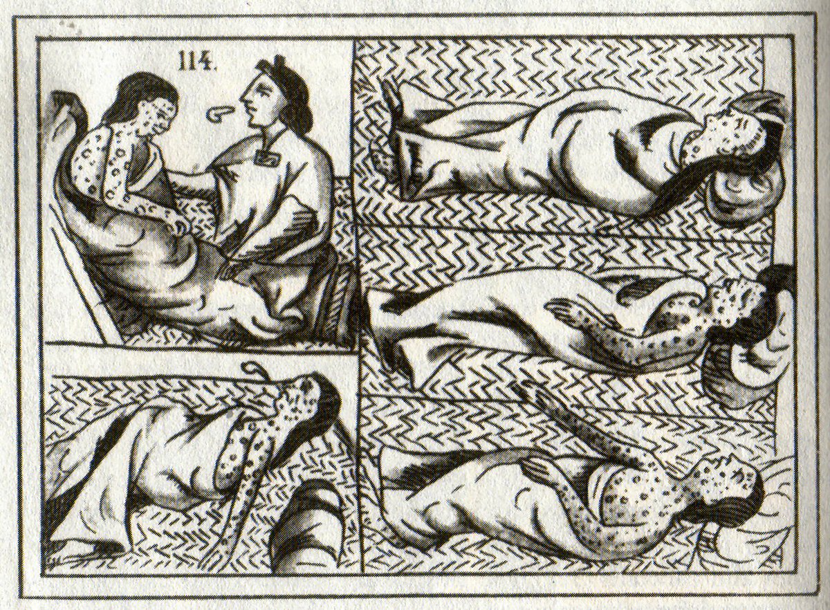 186Cortes's tweet photo. Ahhh figured it out! These #natives have no immune system against European diseases. As I've said: Weaklings! Thousands or even millions of them died because of the smallpox epidemic that WE have brought to this country. Go diseases! #teamCortes https://t.co/eQloyDU3aS
