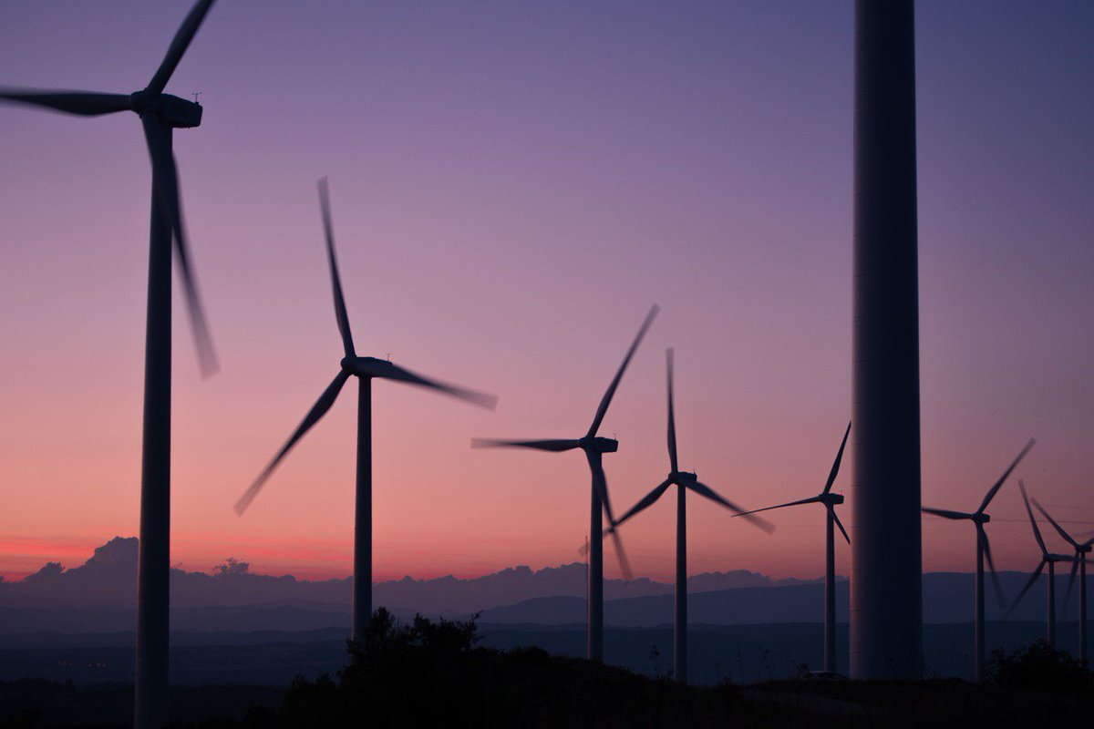 Programa ONU Medio Ambiente tweet media