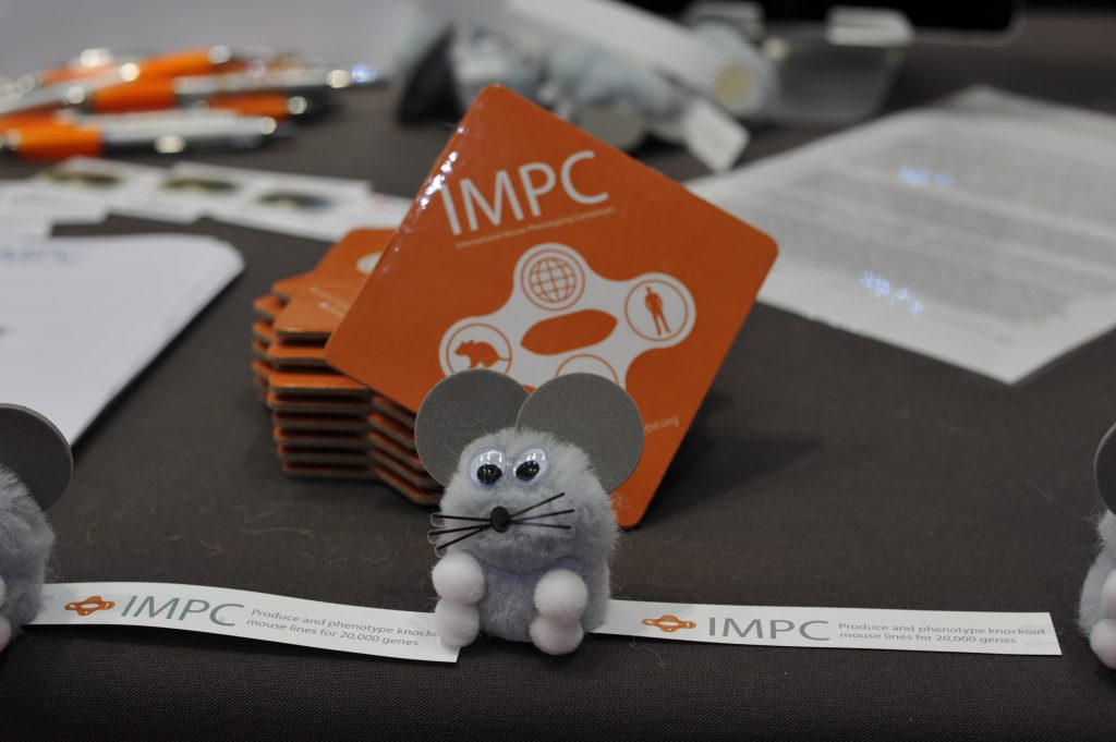impc's tweet photo. We are excited to be attending the ESHG 2018 conference this weekend in Milan! Visit stand 280 to find out more about the IMPC. Pilar Cacheiro, Damian Smedley & Violeta Munoz Fuentes will also be discussing the IMPC in a workshop, poster & talk: https://t.co/MnQIrawSIM #ESHG2018 https://t.co/pNe2qTdhvJ