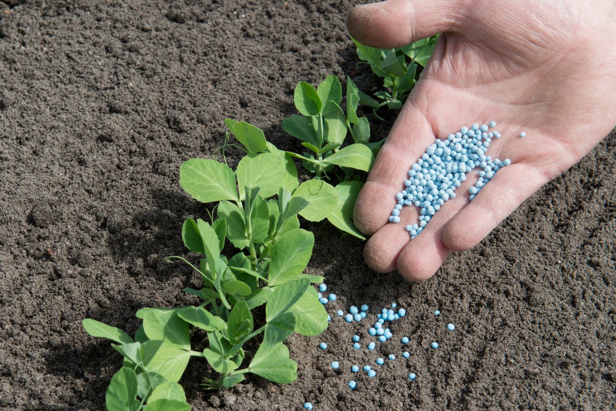 BNBX_Corp's tweet photo. @APDN in Chemicals Knowledge Hub: Is #counterfeitfertilizer a real problem? How the #supplychain could be protected with molecular #DNAtagging https://t.co/HENklzgHwD https://t.co/zwbANBNJ78