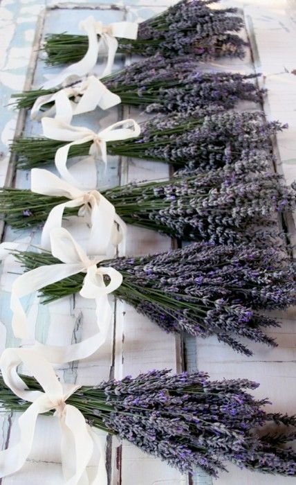 castle_isle's tweet photo. Lavender bunches at the end of each aisle would be a beautiful alternative to babys breathe, and the scent would be just heavenly 🍃 https://t.co/mB5nadCQcf