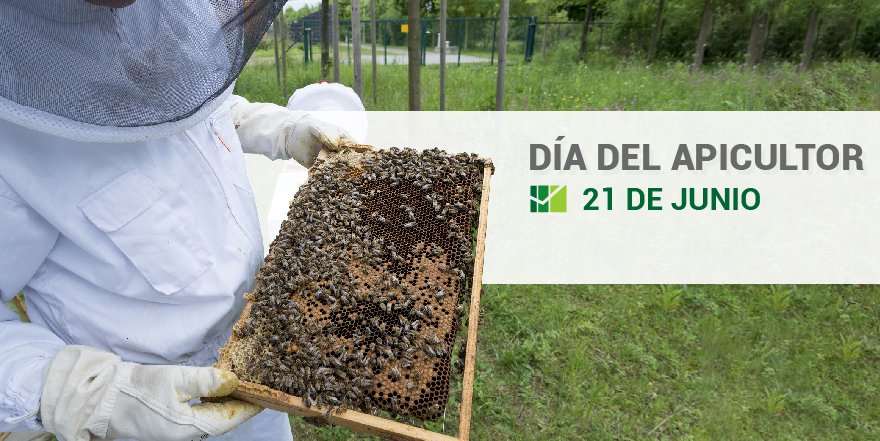mercosuragro's tweet photo. 🐝¿Sabías que el 21 de junio se celebra el #DíadelApicultor en nuestro país? Felicitamos a todos los trabajadores de esta hermosa actividad. https://t.co/hOCpMY6YXM
