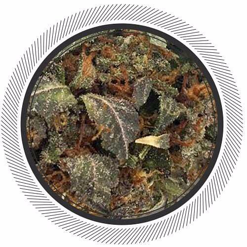 getwhitepalm's tweet image. Guess who&apos;s back!? HULKAMANIA. While this strain may not arrive in Hogan’s recognizable spandex, bandana, and moustache of the iconic wrestler, it does combine some heavy-lifting THC muscle in the form of a Monster Cookies and Bruce Banner cross.
~
Visit getwhitepalm.com