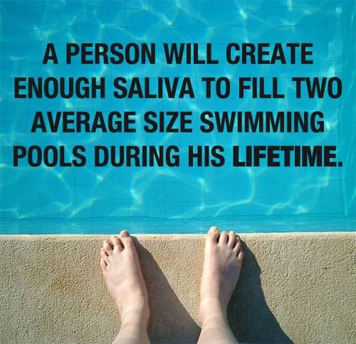 Perfect_Pools's tweet image. Looking for a Professional &amp;amp; Licensed Pool Technician? Call Perfect Pool &amp;amp; Spa Today! 🏊‍♀️🏊‍♂️ #swimmingpoolservice #swimmingpoolrepair #swimmingpool #swimming #swim #swimlife #swimmerslife #swimmers #loveswimming #pooltime  #poolseason