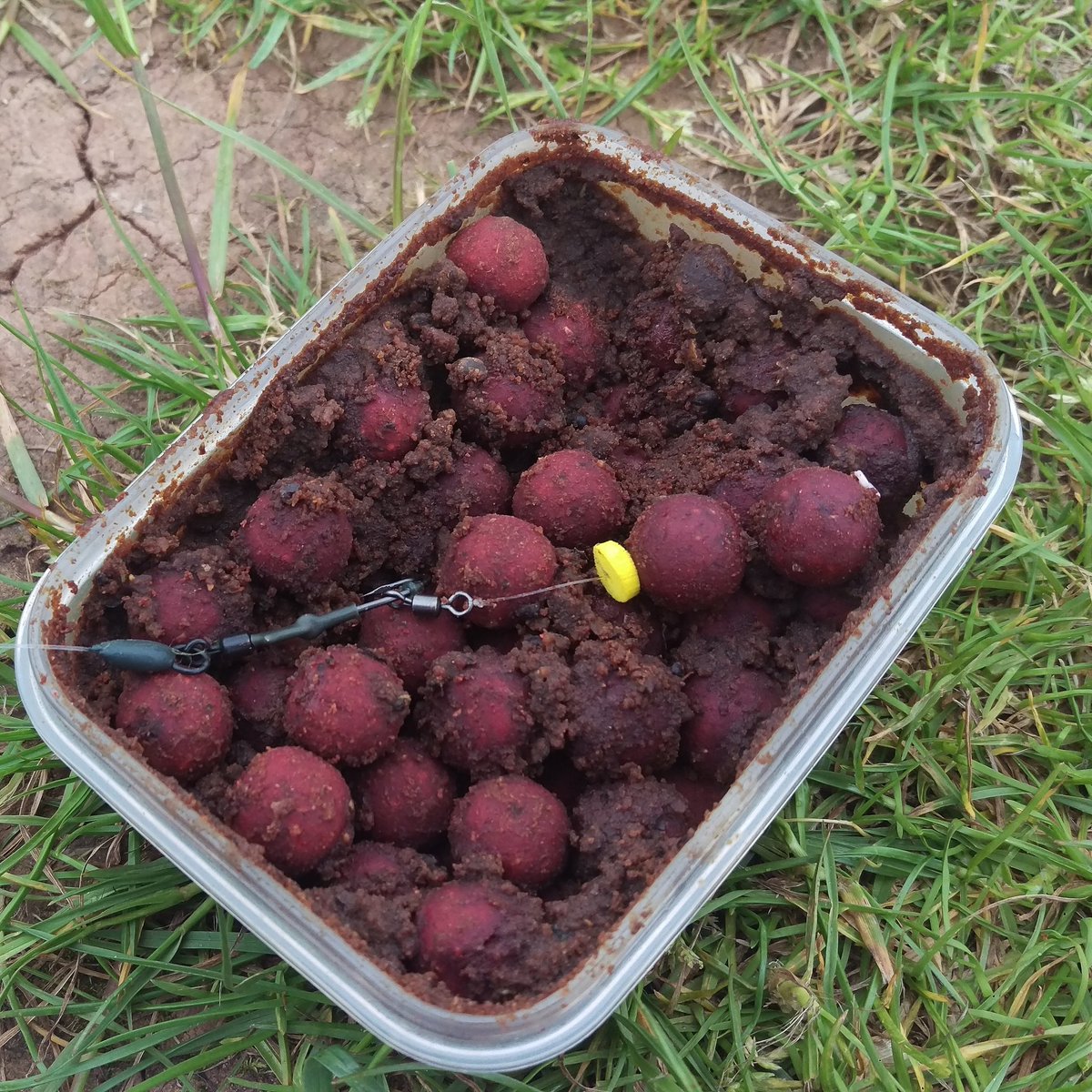 anthonywood58's tweet photo. When your trying every tactic and they still don't want it!!

@bellballcutter1 @HutchinsonTeam 

#fishinglife #fishing #canalfishing #riverfishing #matchfishing #carpfishing #predatorfishing #coarsefishing #catfishing #gamefishing #lakefishing #pleasurefishing #catchandrelease https://t.co/5GeDL9u3yl