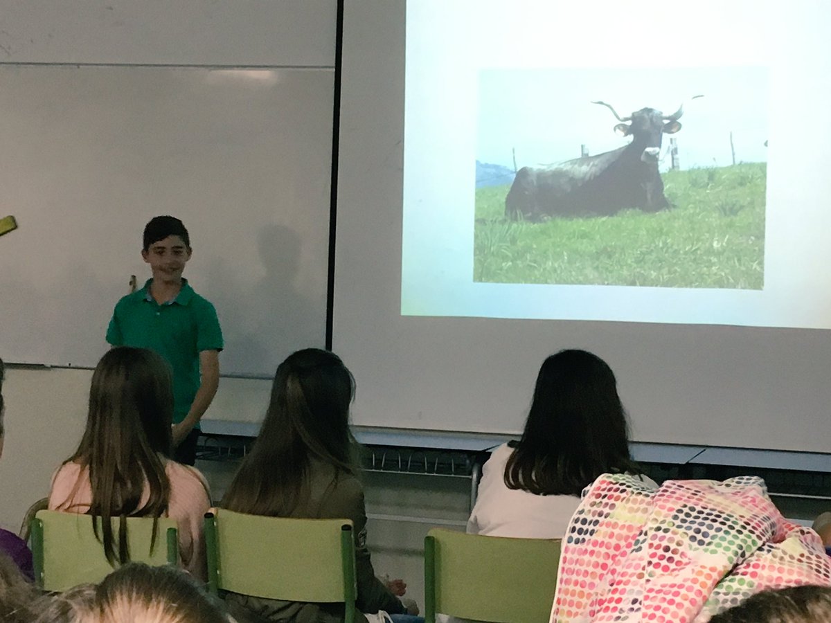 etctera2's tweet photo. Alejandro, Jairo y Samuel nos cuenta su Super-Vivencia diaria en el cuidado de sus vacas #supervivencias #iesmarismas https://t.co/1ZsuUhTn5E