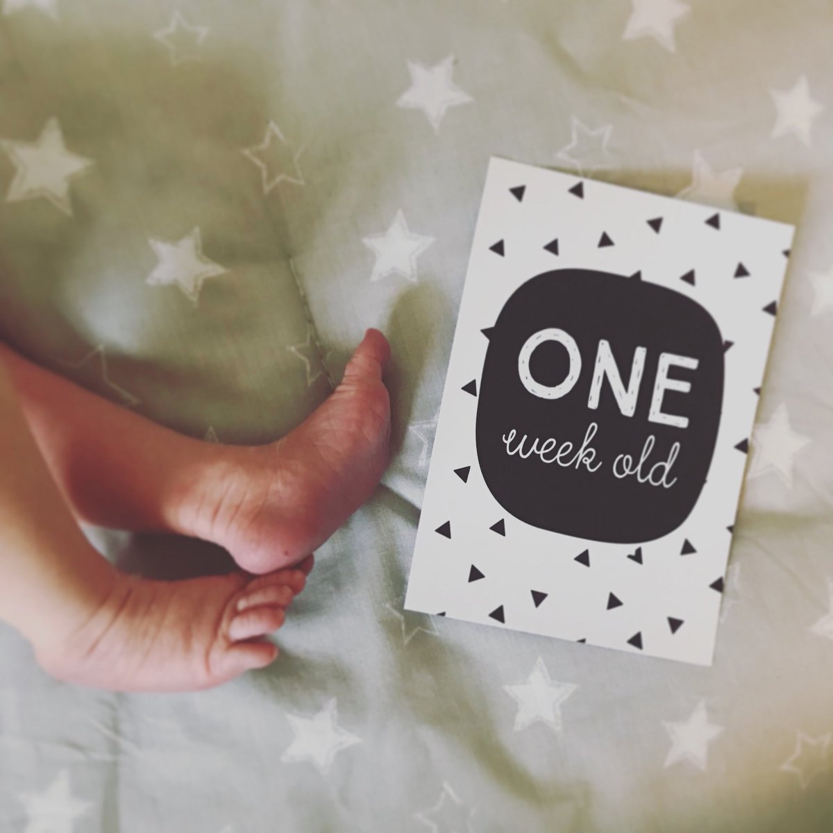 sarafromvenus's tweet photo. Time stands still...❤️
#oneweekold #junebug #junibaby2018 #junibaby #junikäfer #liebe #love #life #baby #junebaby https://t.co/CSBgXXMYkX