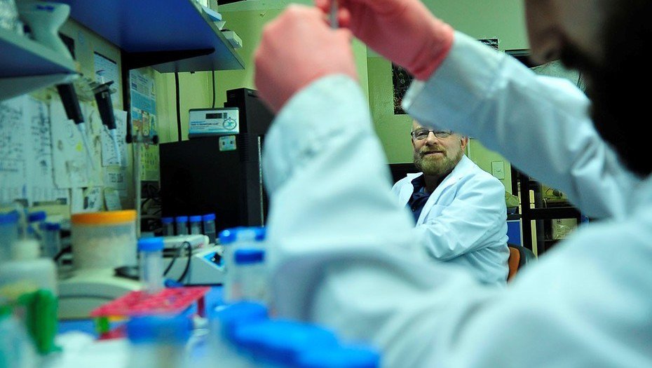 Descubren el mecanismo que usa una bacteria clave para provocar infertilidad #ReproduccionAsistida clar.in/2MkyRFn