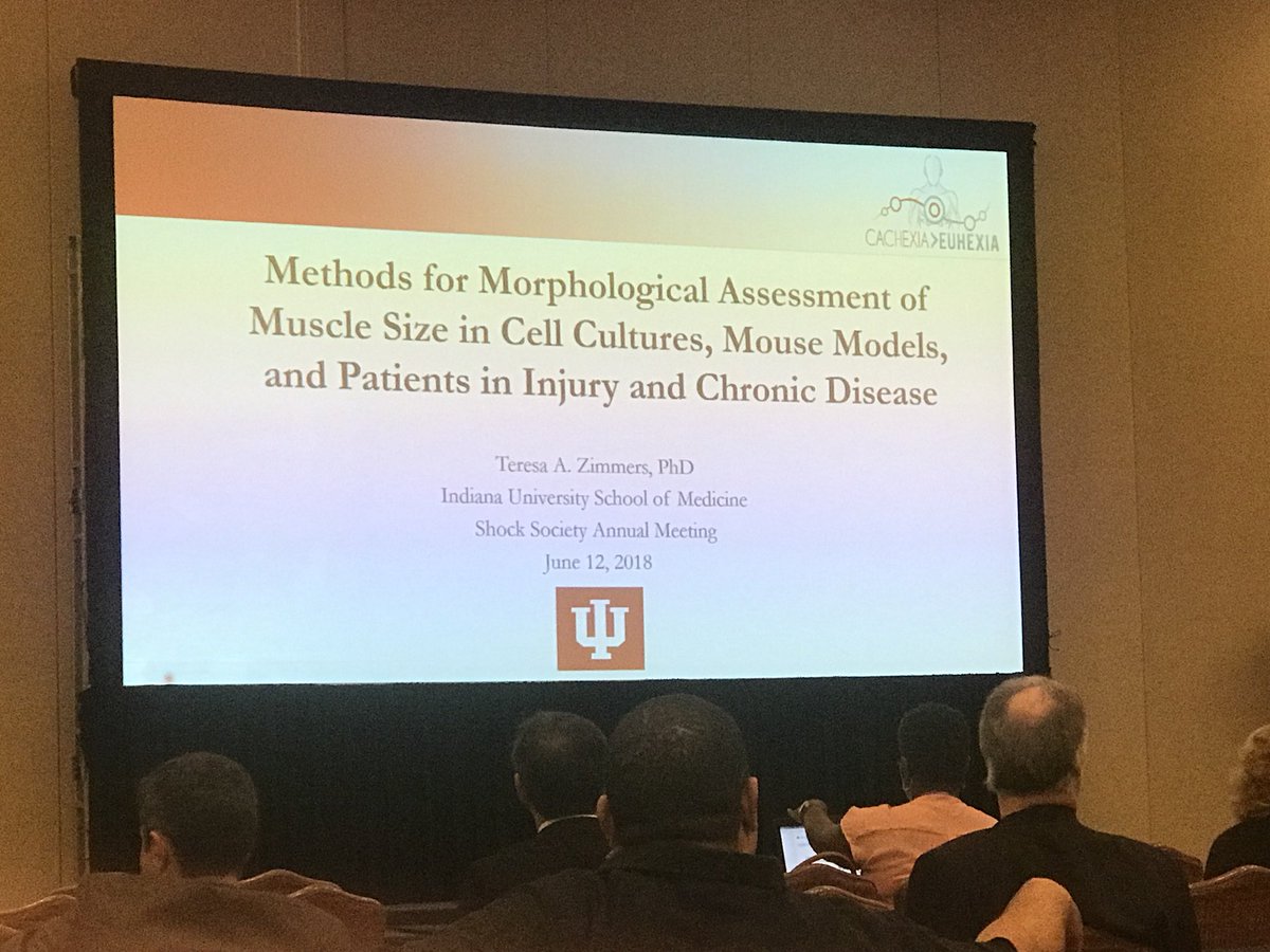 bioblastgeek's tweet photo. Dr. Teresa Zimmers discussing methods to quantify muscle size in cells, animals and humans in the context of injury and disease #Shock2018 @ShockSociety https://t.co/bZP1y3hKhc