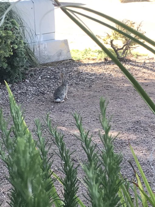 Oh hello there https://t.co/FTOHUThnFh