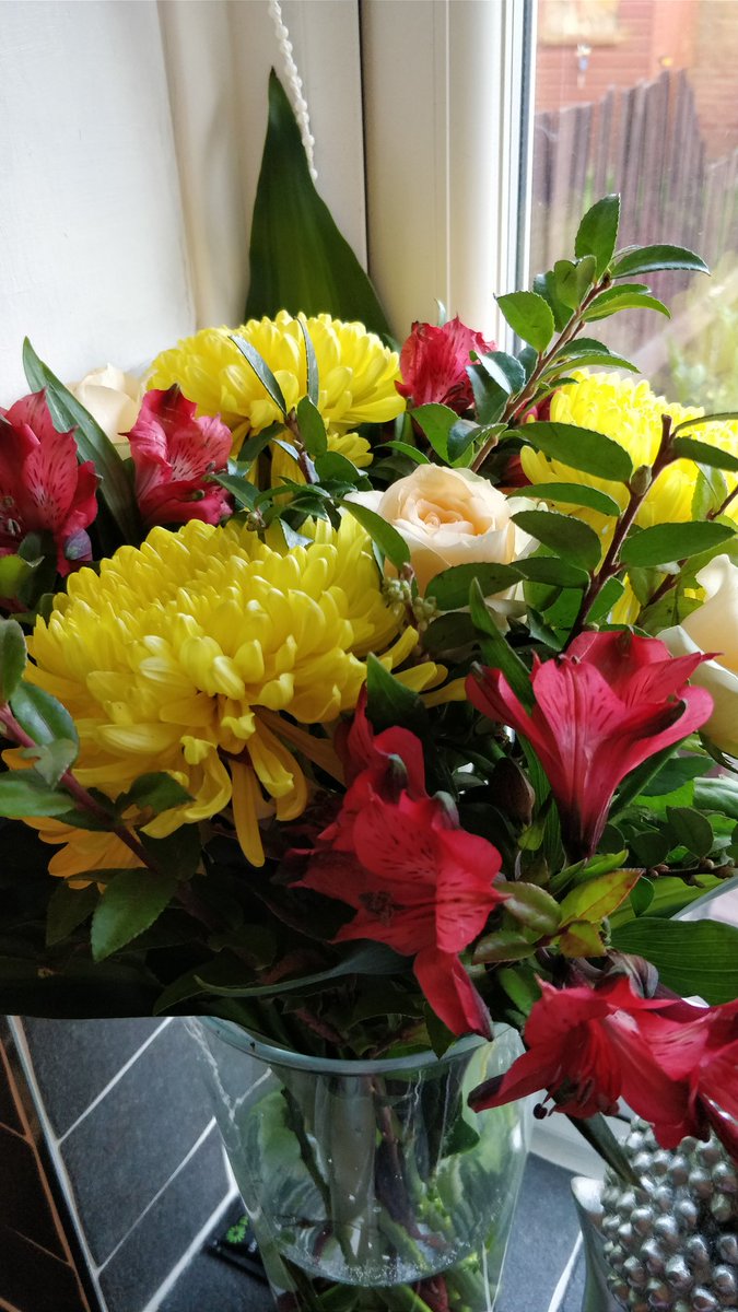 Danielle Burn tweet media