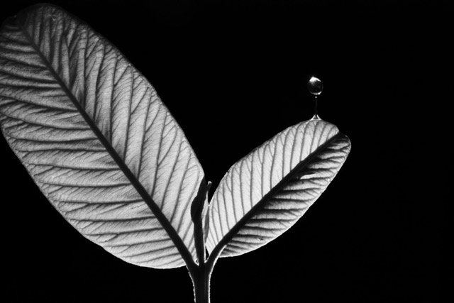 InfinityArtLV's tweet photo. From the "Beyond... Engraving" series by Alfredo Calderon. 
More from this series: https://t.co/6jSaB8WuWg 
#art #artist #alfredocalderon #photography #untouched https://t.co/AAyfcysCXE