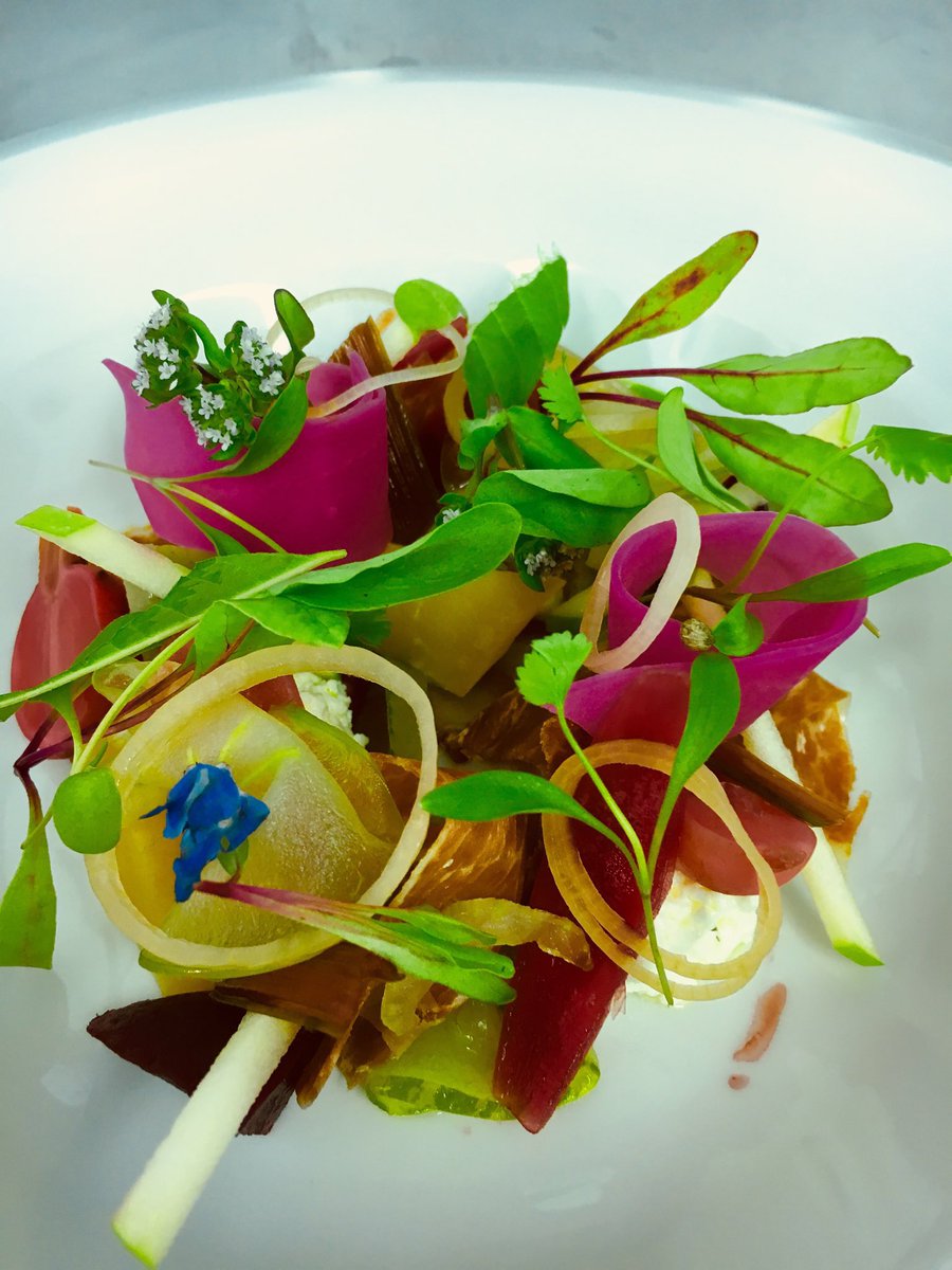 Iberico ham ,Artichoke , beets  ,ricotta , green tomatoes ,herb