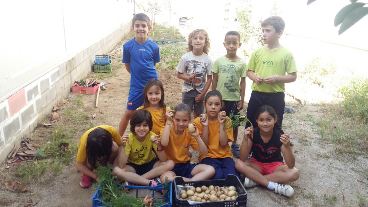 Nievesropo's tweet photo. Después de todo el año cuidando del huerto de @escolaventosmir hoy recogemos sus frutos. Menuda tortillas vamos a preparar😋#aixòtambéésventósmir https://t.co/uHGhGmdiUJ