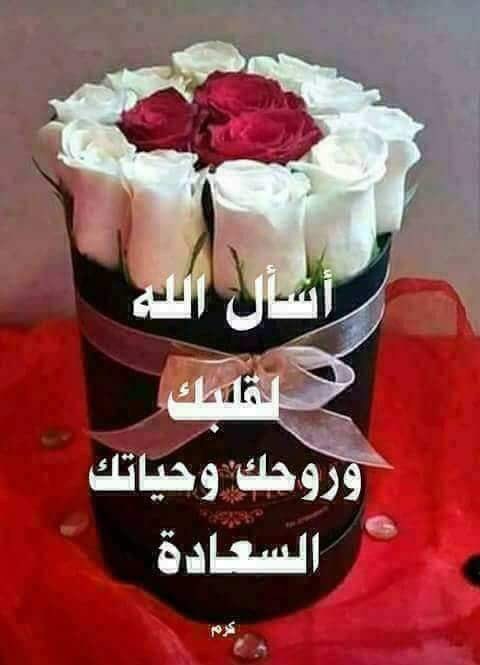 CA5II's tweet image. 