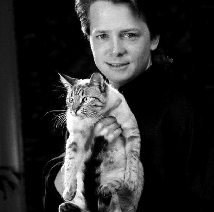 CatsInIstanbul's tweet photo. 😻 Tuesday is for Kedi Lovers 😻 
"Life delivered me a catastrophe, but I found a richness of soul." 
- #MichaelJFox 
Find YOUR richness of soul. 
#kedifilm #catsofistabul #documentary #indiefilm https://t.co/j1prZJDAB5