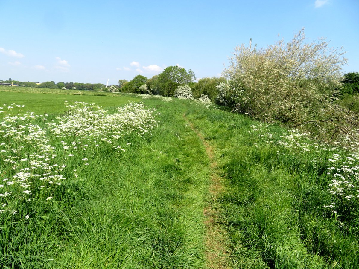 Monarchsway's tweet photo. the route from Powick bridge just after the start of the 2018 #Monarchsway #Challenge_Running  #Ultra https://t.co/3hewjfh3s4