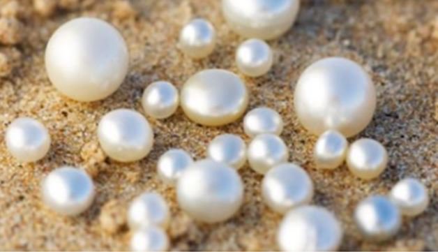 186Balboa1's tweet photo. For the past few days, I've been crossing through the lands of caciques Coquera and Tumaco, defeating them easily and taking their riches of gold and pearls. The pearls are abundant in the islands ruled by Terarequí, a powerful and feared cacique. #cool #beautiful #Cash https://t.co/FyaFA8y8xQ